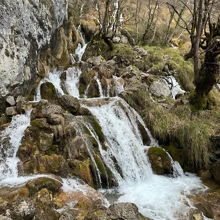 Rg Maison - 35 Bed & Breakfast 4*