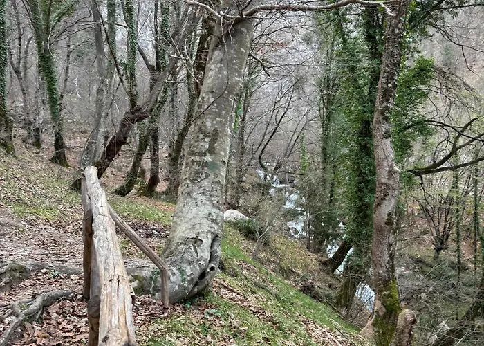 Rg Maison - 35 Bed & Breakfast 4*